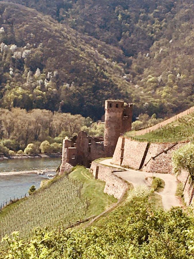 Berg'S Backpacker Hotel Rüdesheim am Rhein Buitenkant foto
